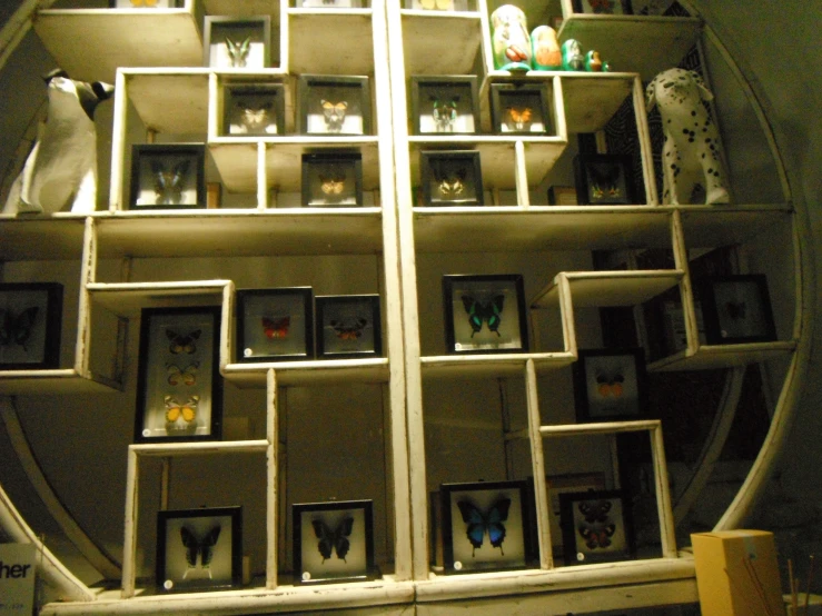 a large glass shelf that is filled with pictures