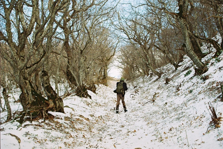 man wearing skis walking through a snowy path