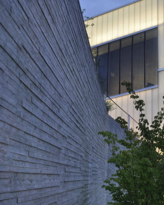 a small plant is in front of a building