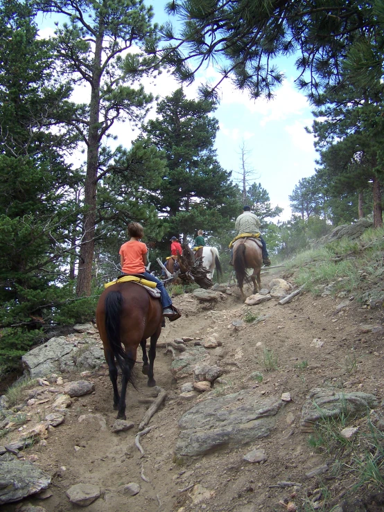 some people are riding horses down a trail