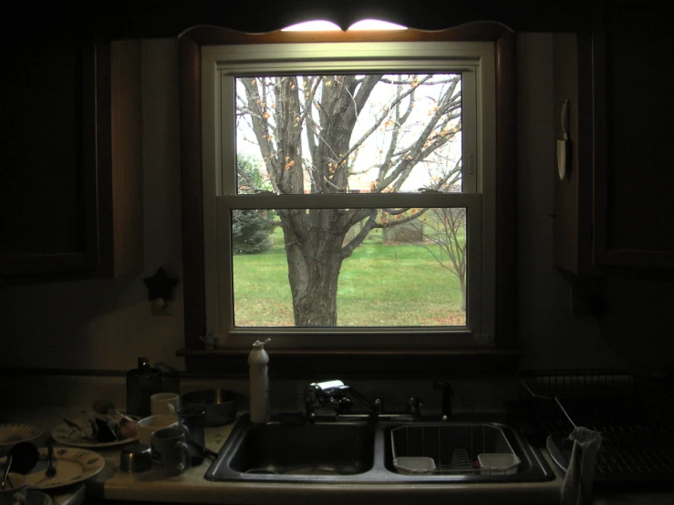 view of the trees out a bathroom window