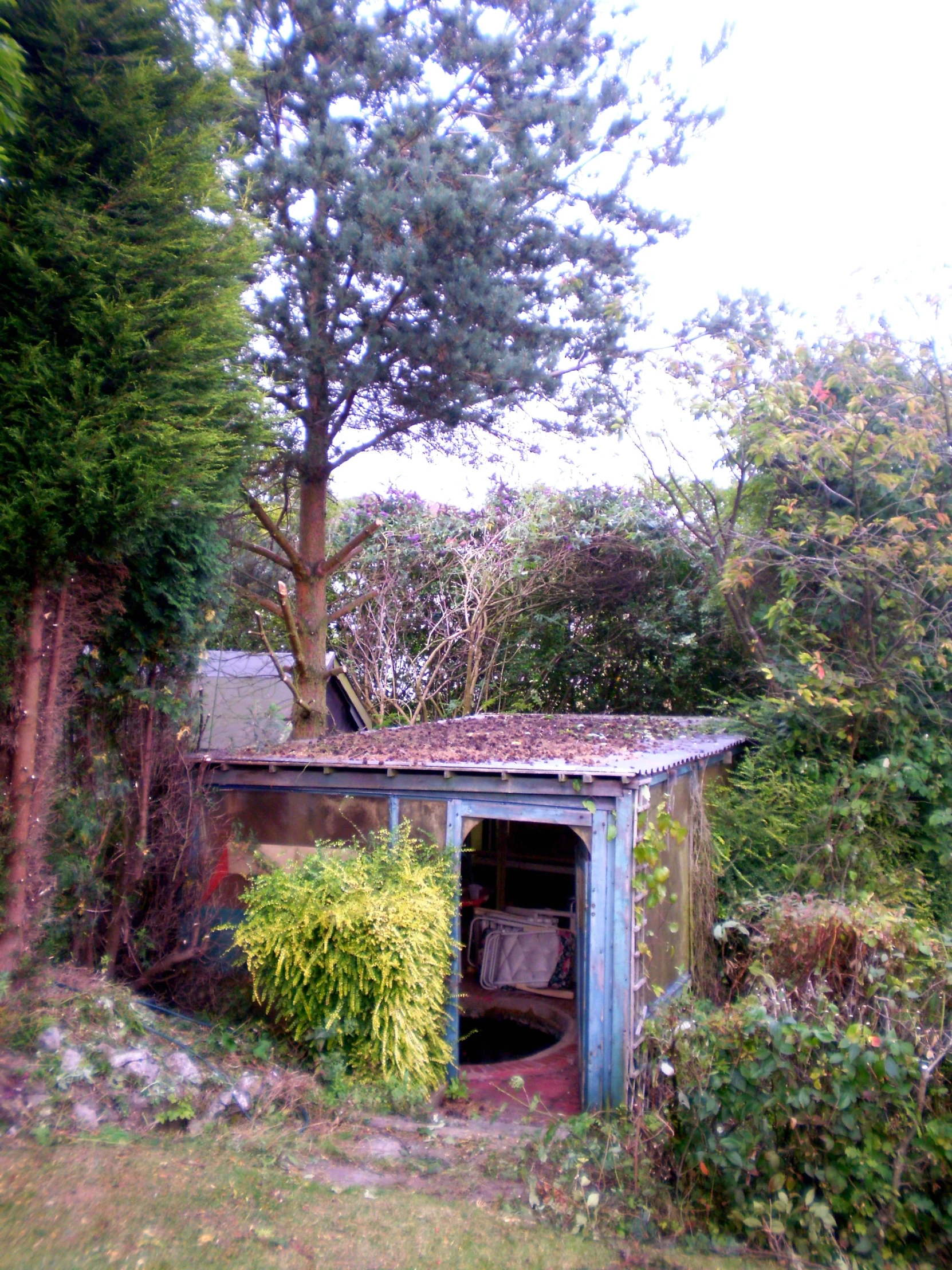 an outhouse next to a field and tree