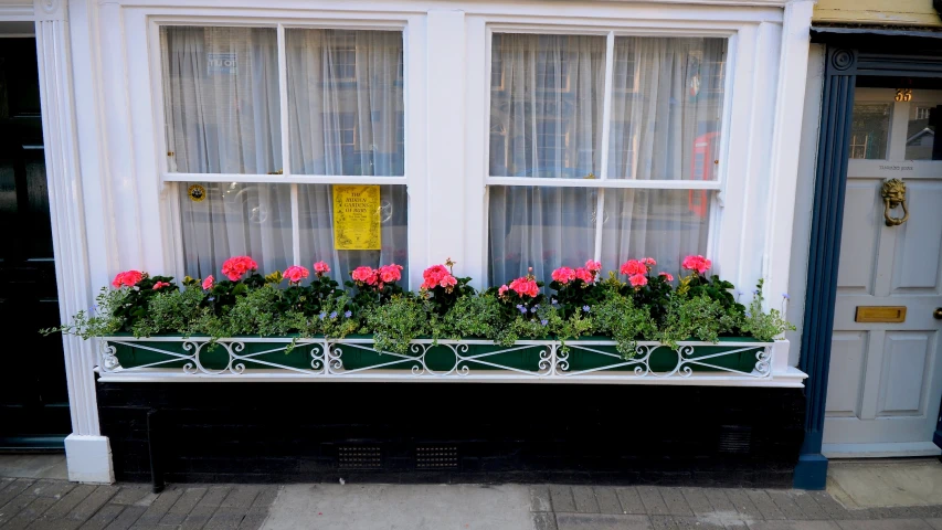 a window box filled with potted flowers outside