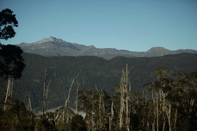 the mountains in the background are covered with snow