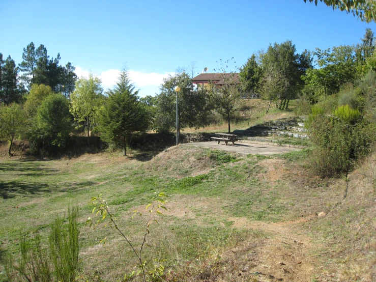 a very lush green hillside with benches and trees