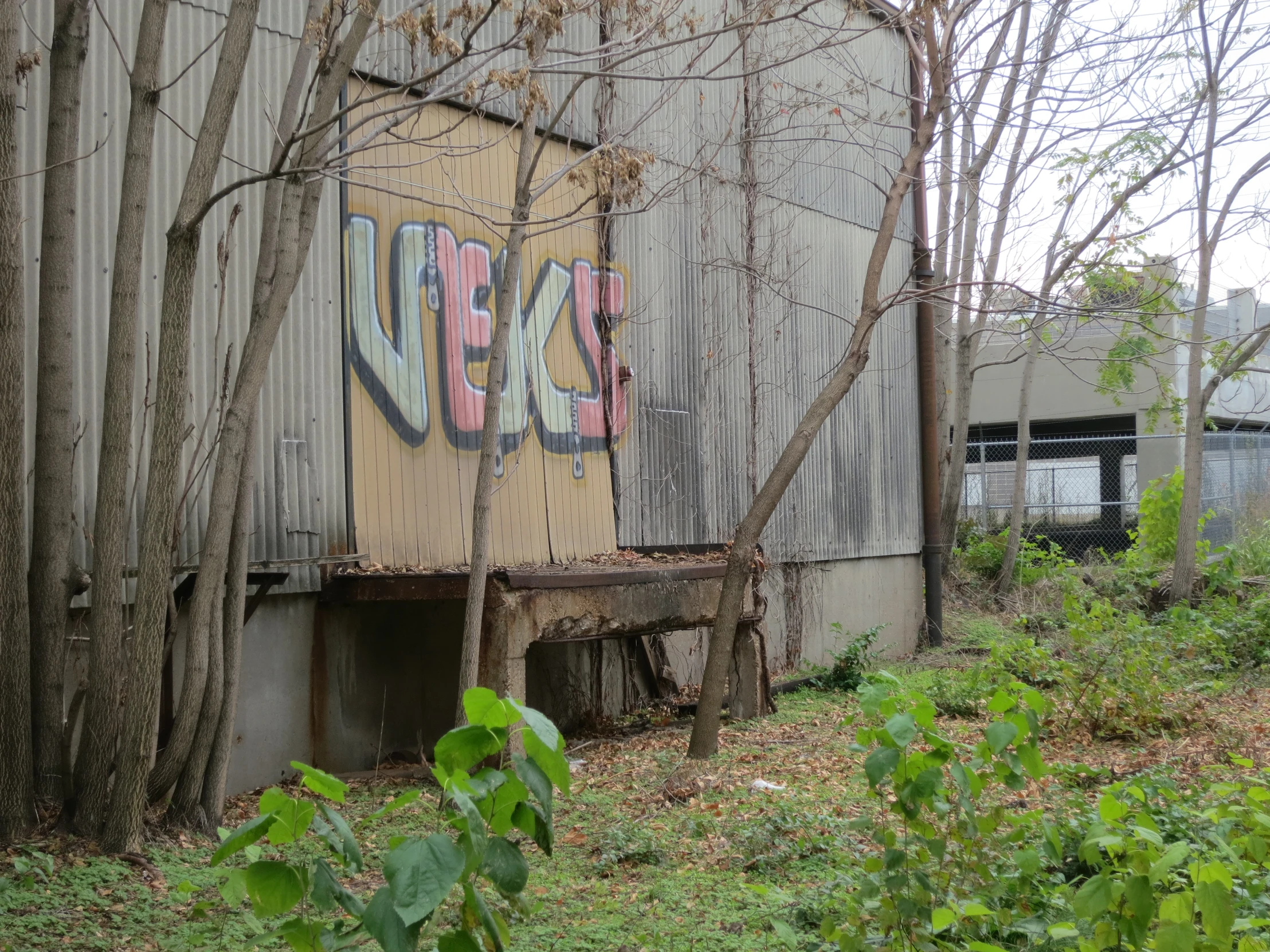 graffiti on the back of an abandoned building