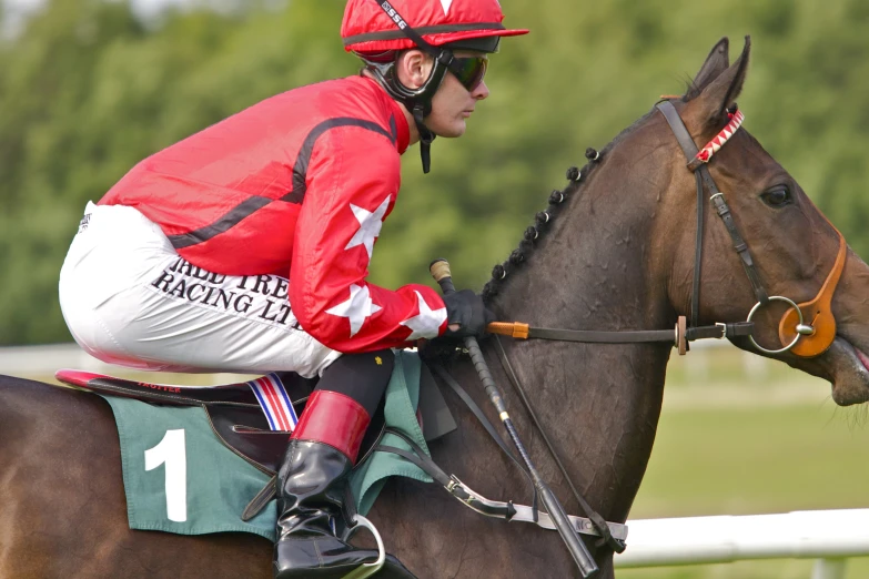 a person in red jacket riding on horse