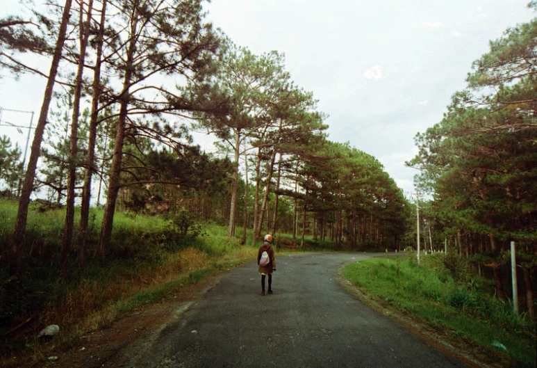 a person riding a bike down a street in the woods