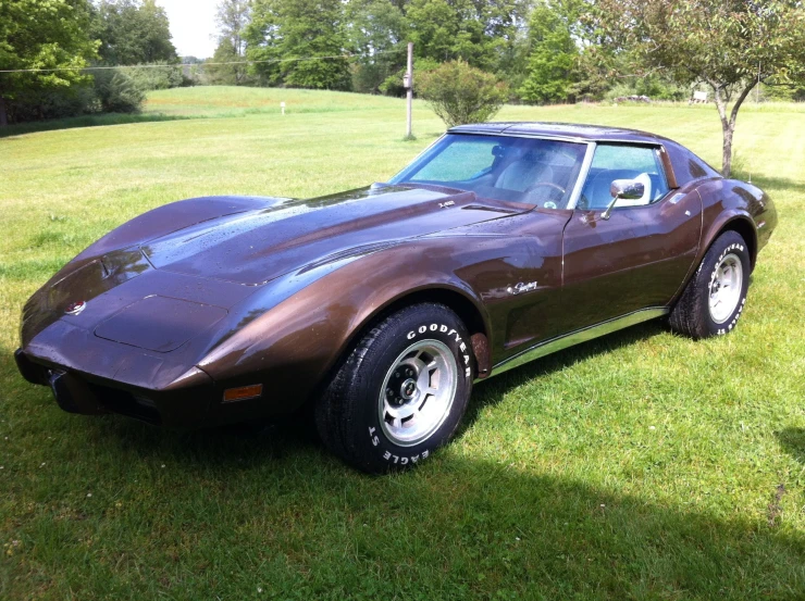 a brown corvette is parked in the grass