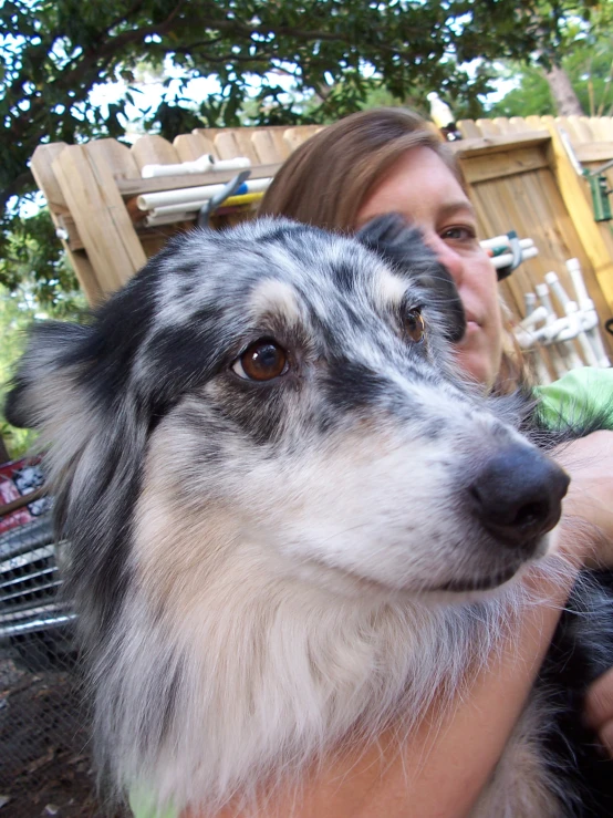 a woman holds her dog up to look at soing