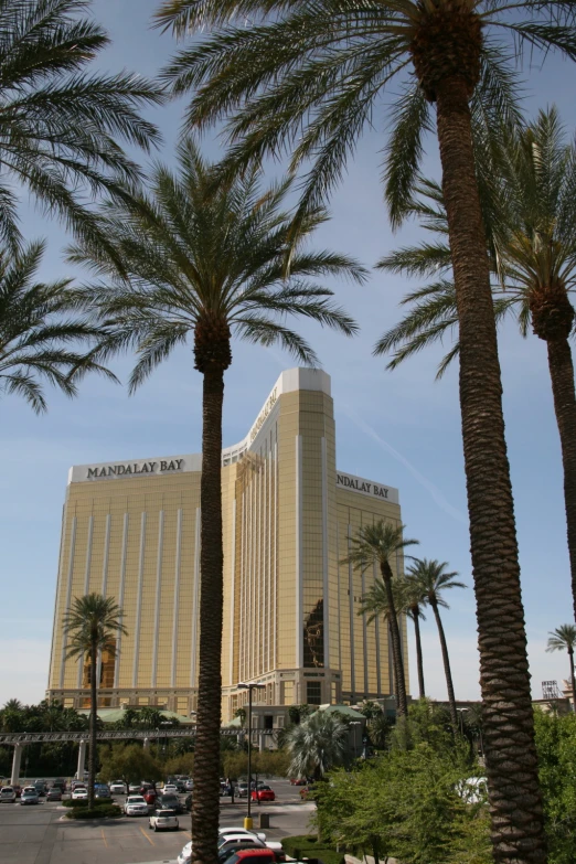 the palms of palm trees are in front of a building