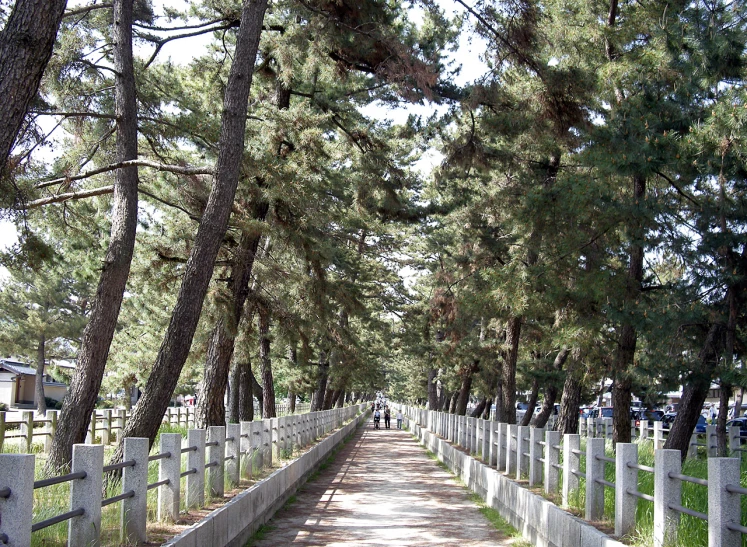 a long sidewalk next to the woods with trees on either side