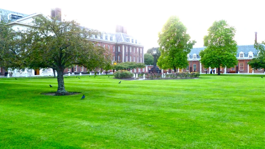 people are in a park next to a building