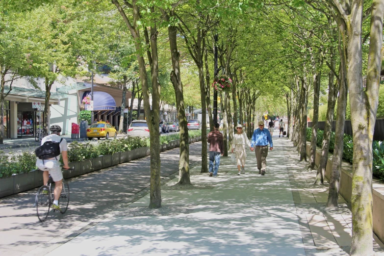 people are riding bicycles in the park by the trees