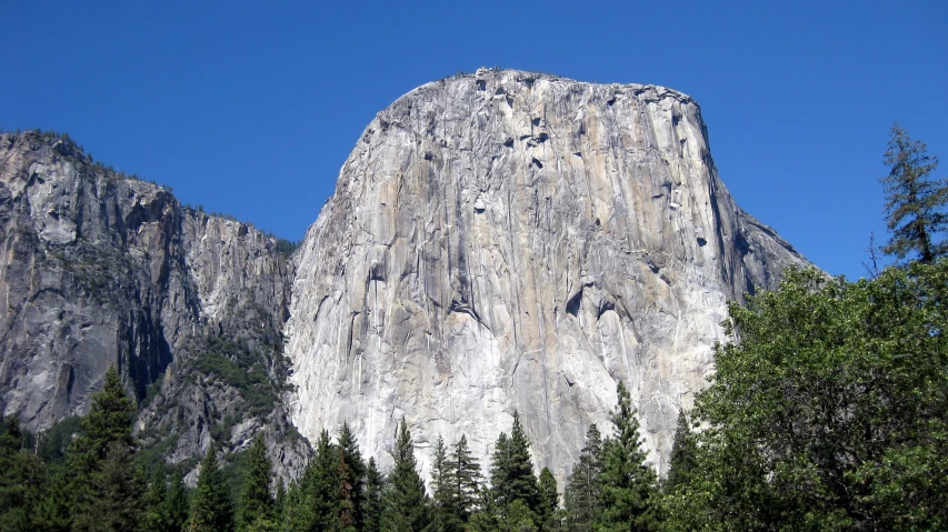 the tall rock face is almost completely obscured by the trees