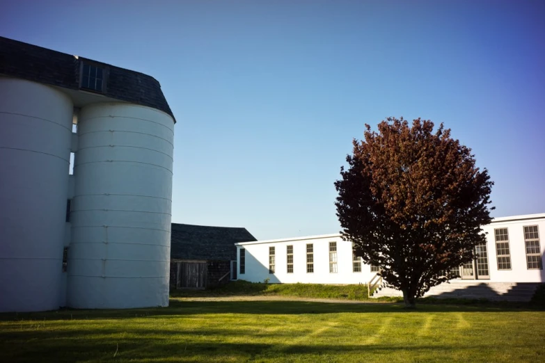 an image of a building in the back with some green grass