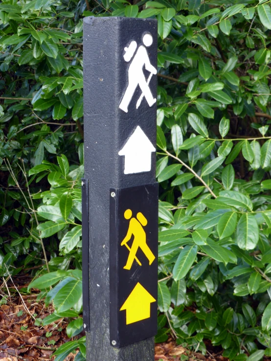 a white and yellow pedestrian sign next to some plants