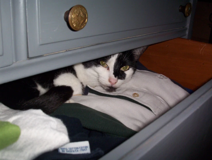 a cat sitting in the drawer of an unmade dresser