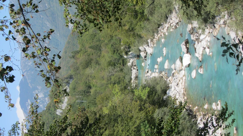 a stream of water surrounded by lush green trees