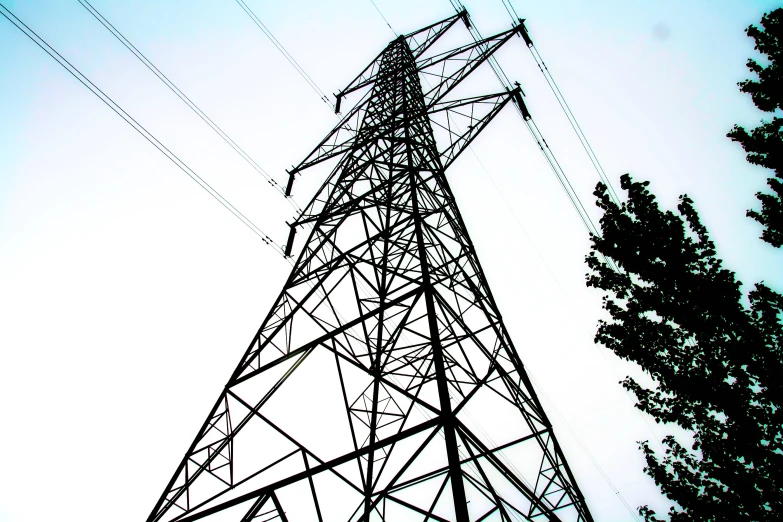 a black and white po of electrical towers and trees