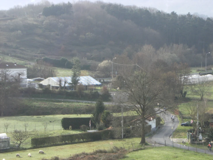 an image of a mountain road with sheep grazing in the distance