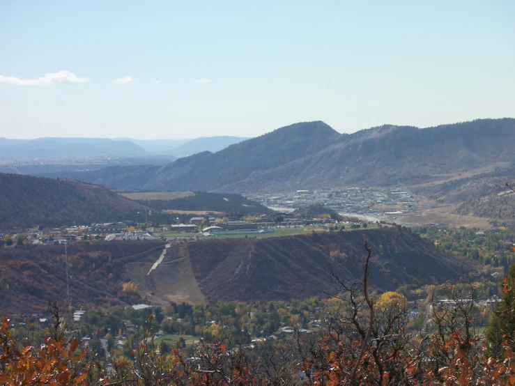 there are trees and bushes in the mountains