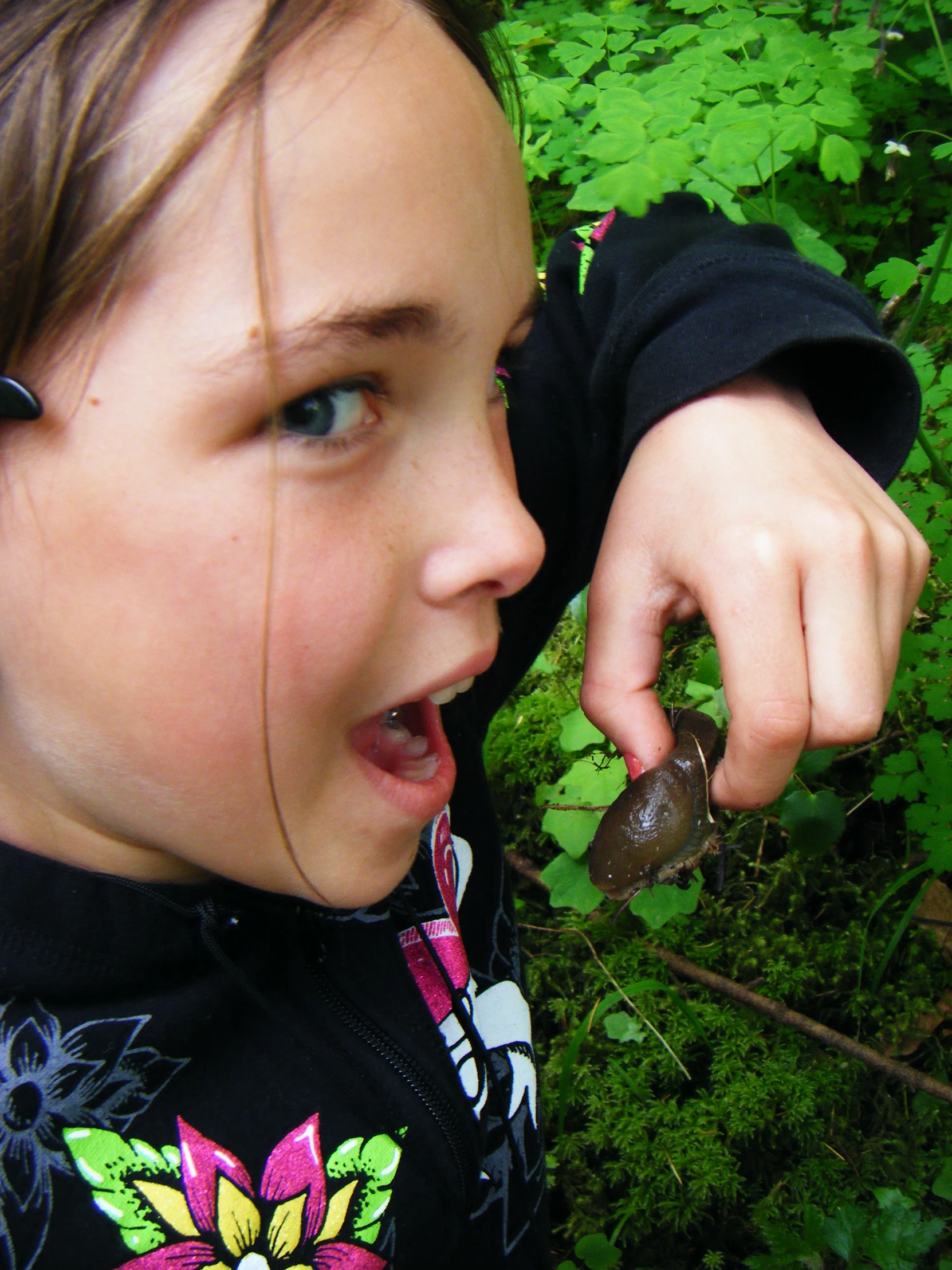 a  is eating an insect in the forest