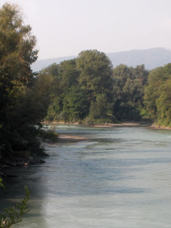 the river is quiet and placid with trees on both sides