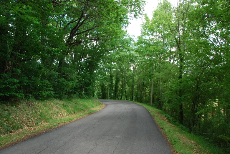 an asphalt road passing through a wooded area