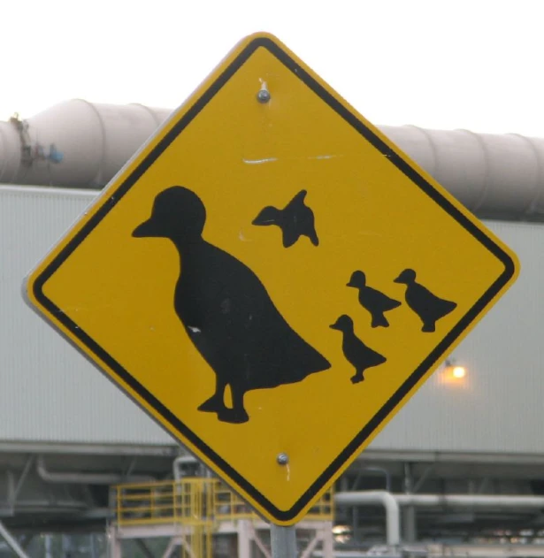a road sign with a duck crossing in front