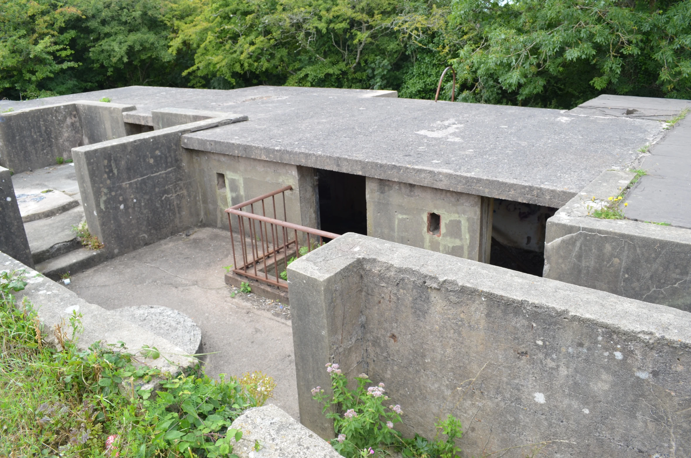 an unfinished concrete structure sitting in the middle of a forest