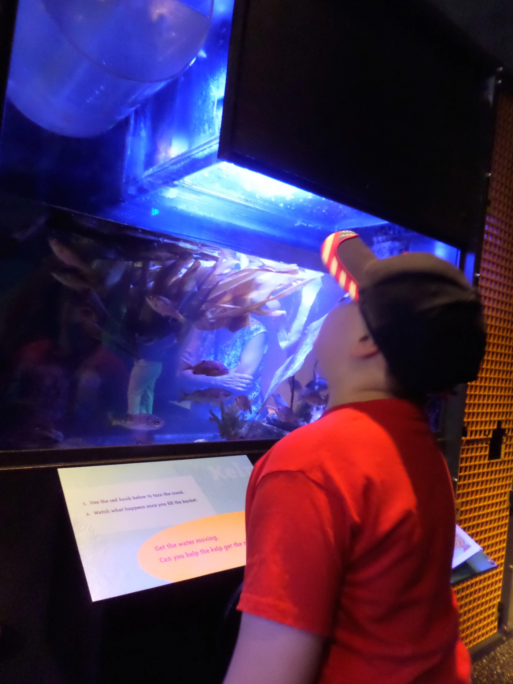 an image of a man watching a fish in a tank