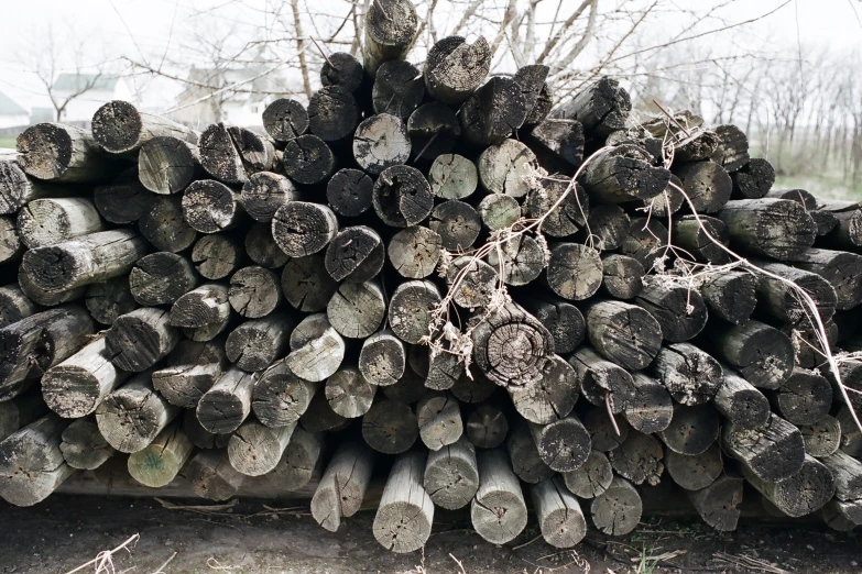 a pile of trees with many logs