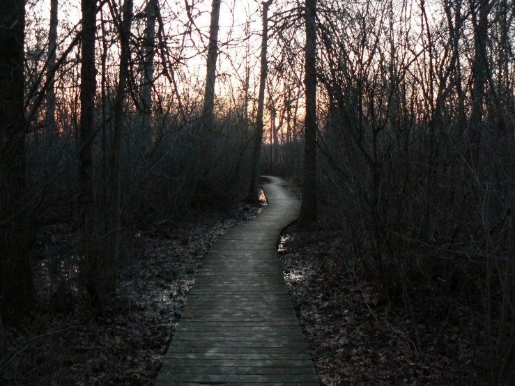 a pathway that has the light shining down at the end