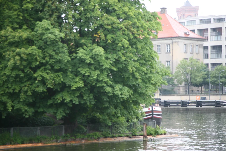 trees beside the water in front of a building