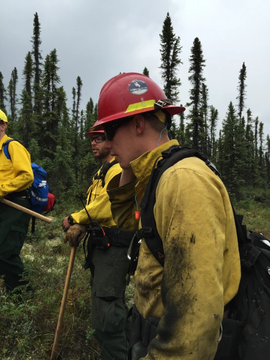 some firefighters are standing in the wilderness wearing their gear