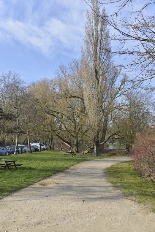 the road in the park has parked cars and trees