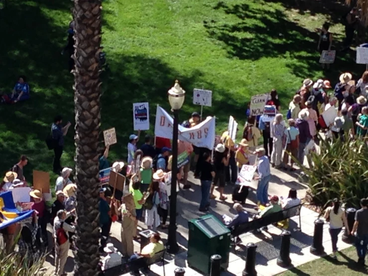 people walking down a street holding signs