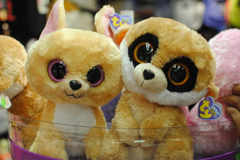 the three little stuffed animals are together on the display table