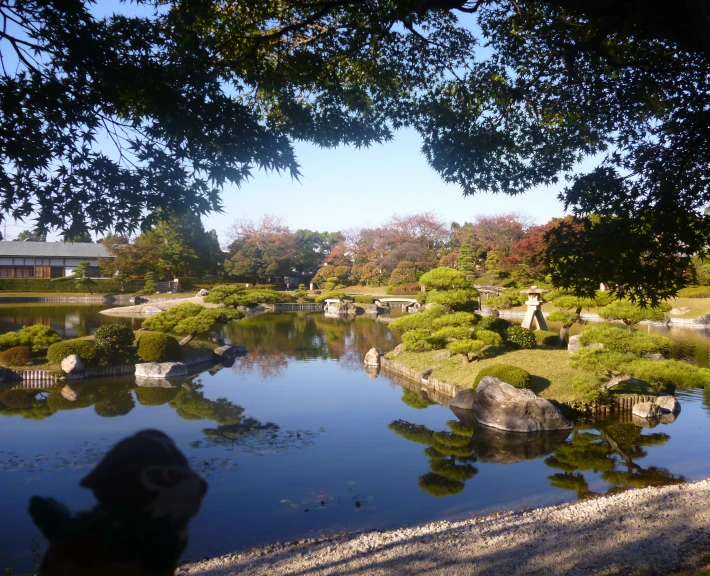 a pond near the road with a small bird on top