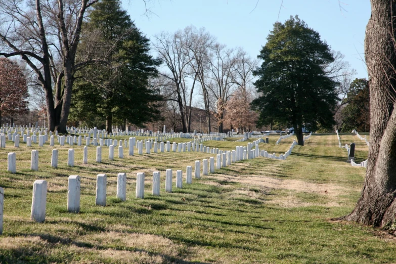 rows of headstones and trees on a grassy field