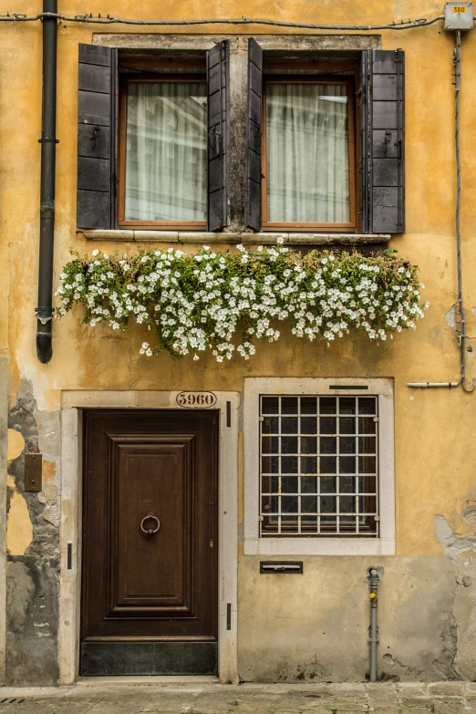 the house has two windows and one door