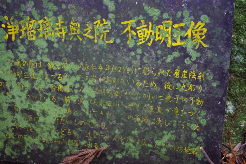 green and yellow writing on black surface in asian language