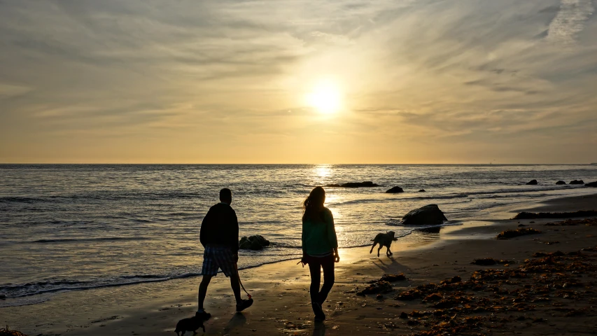 a woman and a man walking along the beach while a dog watches