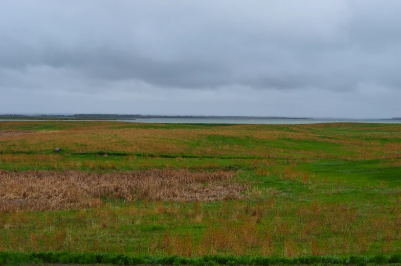 a large open field with brown, green and yellow grass