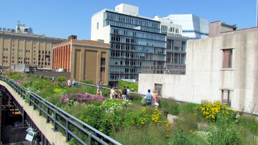 people are walking on an elevated green roof