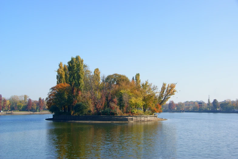 a body of water surrounded by trees in the fall