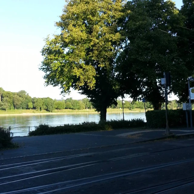 a park scene with the road to the side and trees near it