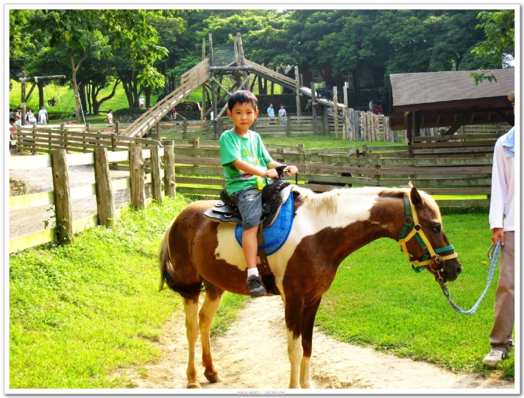 a  rides a horse on a park path