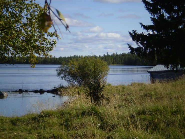 some water is in the middle of it's grassy land